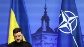 Дмитрук: арест Ермака стал серьезным ударом по власти Зеленского